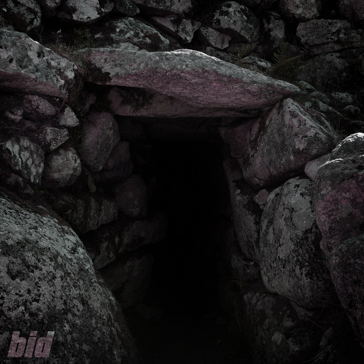 Cover: ZUKUNFT (BID001)