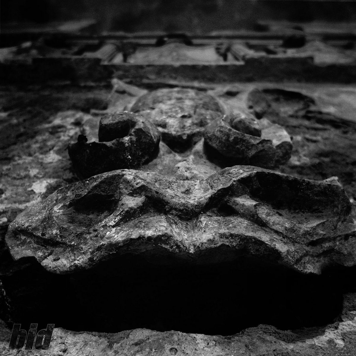 Cover: MONOCHROME (BIDFREE001)